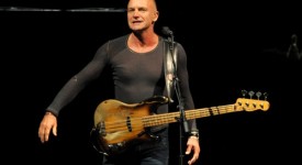 sting