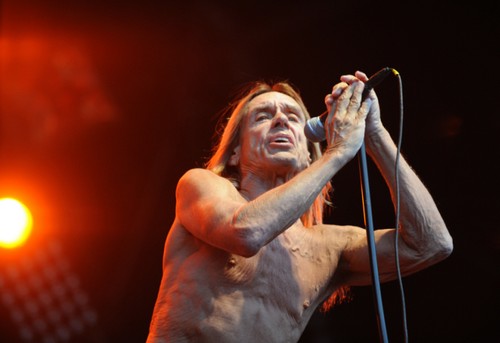 iggy-pop