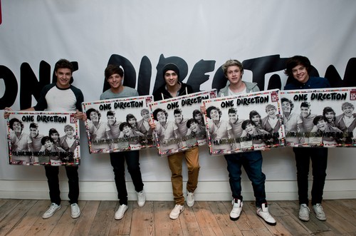 One direction, 12 milioni di dischi venduti in un anno