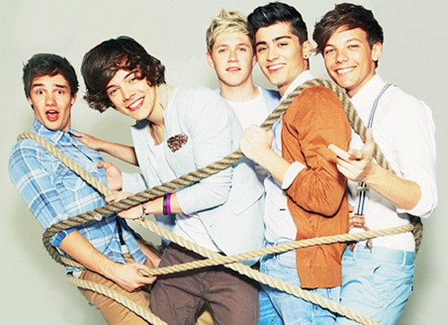 One direction: il 19 novembre esce una speciale limited edition di Take Me Home