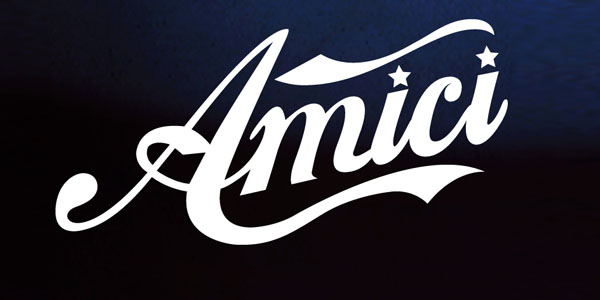 amici-13-logo