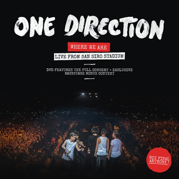 One Direction: il Where we are tour a San Siro sarà registrato in un DVD