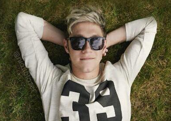 One Direction: Niall Horan lascia la band?