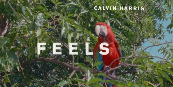 Calvin Harris ft Pharrell Williams, Katy Perry & Big Sean, Feels: testo