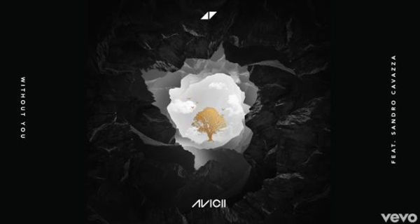 Avicii ft. Sandro Cavazza, Without You: testo