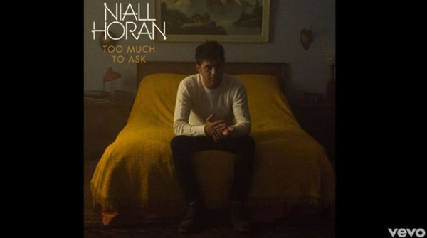 Niall Horan, Too Much To Ask: lyrics