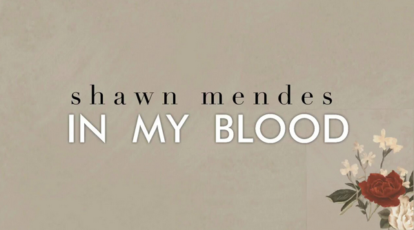 Shawn Mendes, In my blood: lyrics