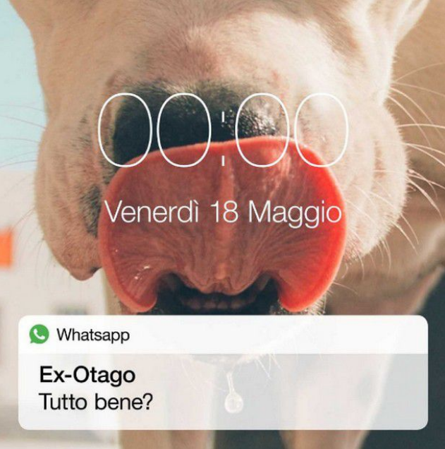 Ex-Otago, Tutto bene: testo